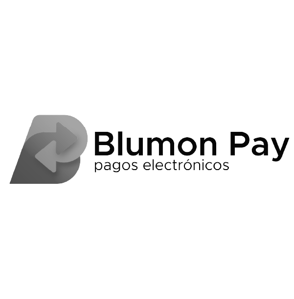 bluemon pay